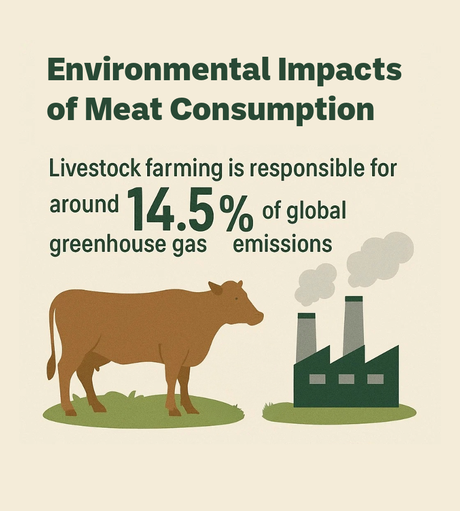 environmental-impacts-of-meat-consumption